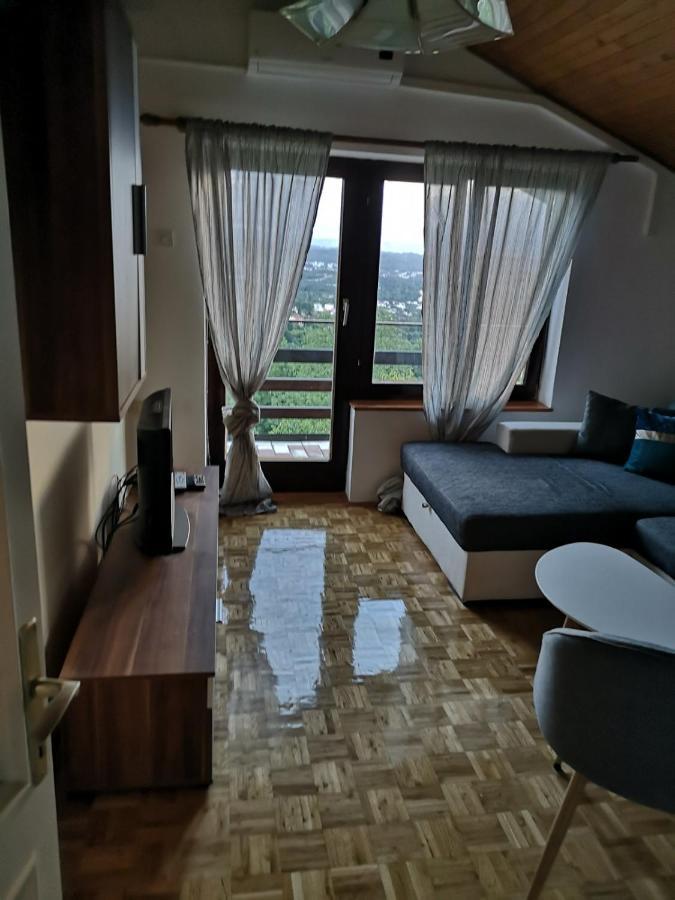 Apartment Gina Opatija Exteriör bild
